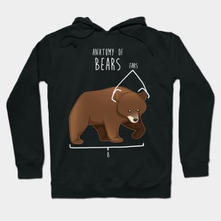 Bear Animal Anatomy Hoodie